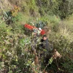 WhatsApp-Image-2026-03-21-at-10.24.32-AM.jpeg-1774068999317_v