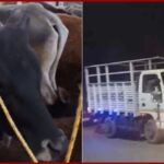 WhatsApp Image 2026-04-16 at 12.13.18 PM