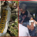 photo-collage.png (31)