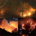 नैनीताल: कृष्णापुर, मनौरा रेंज, बल्दियाखान, नैनागांव, पटवाडांगर और आरुखान के जंगल पिछले कई घंटों से लगातार धधक रहे हैं